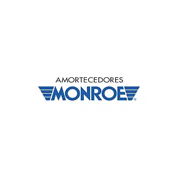 amortecedor_monroe_9.jpg