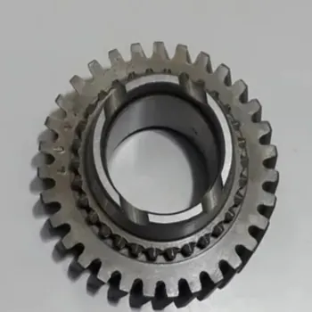 9555.jpg