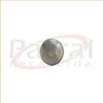 sem_t_tulo_63.jpg
