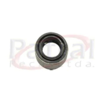 sem_t_tulo_319.jpg