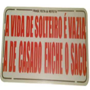 ADESIVO_avida_de_solteiro-e_vazia.JPG