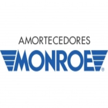 amortecedor_monroe_8.jpg