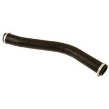 MANGUEIRA.jpeg