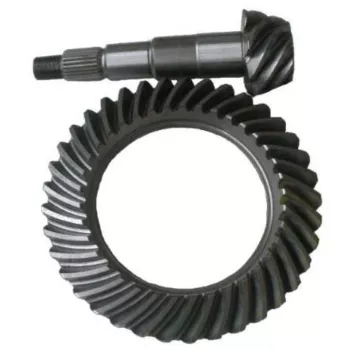 coroa_e_pinhao_7.jpg