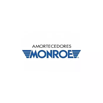 amortecedor_monroe_6.jpg