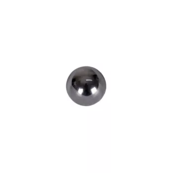 8376.jpg