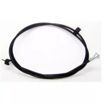 8445.jpg