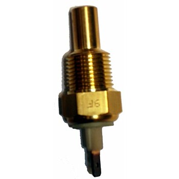 cebolinha_sensor_de_temp.rosca_17mm.JPG