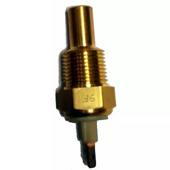 cebolinha_sensor_de_temp.rosca_17mm_1.JPG