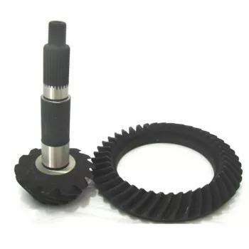 coroa-pinhao-site_8.jpg