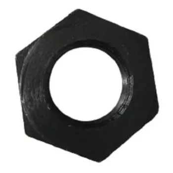 4841.jpg