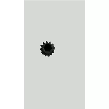 29335_1.jpg
