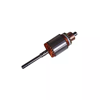 induzido_do_motor_de_arranque_javali.JPG