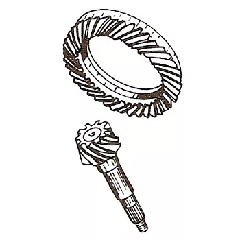 file_125.jpg