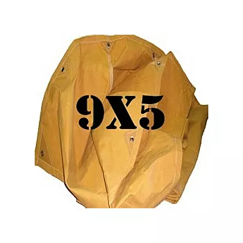 file_31_37.jpg